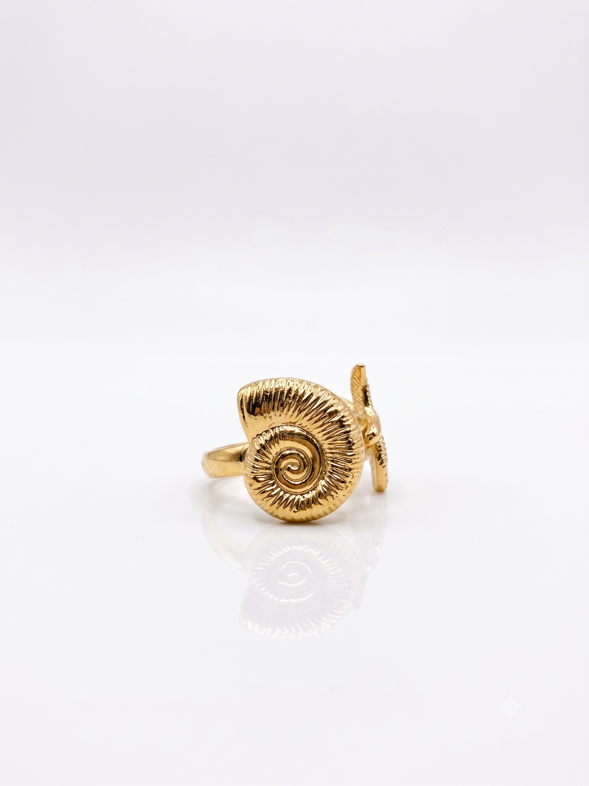 The Ammonite Spiral Statement Ring